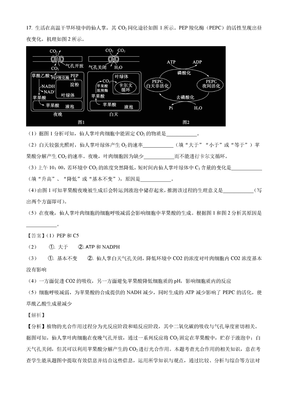 湖南岳汨联考2024届高三11月期中联考生物试题及答案