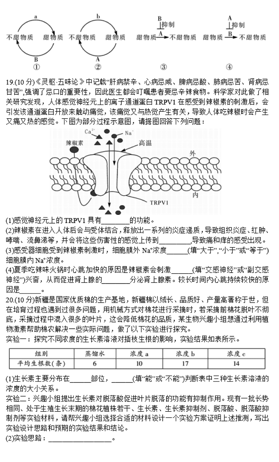 湖南邵阳一模2024届高三上第一次联考生物试卷及答案