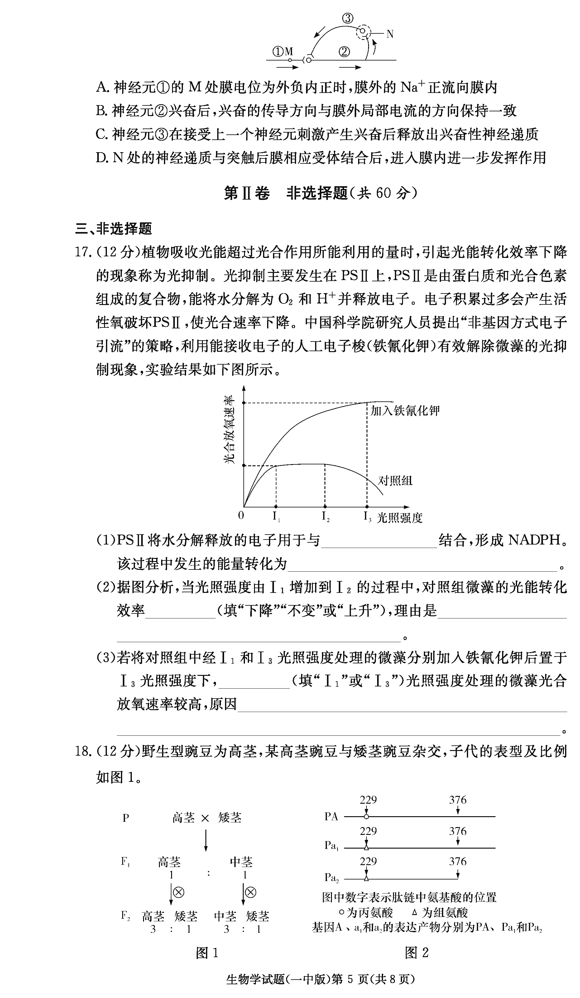 2024届湖南长沙一中高三上学期月考（四）生物试题及答案