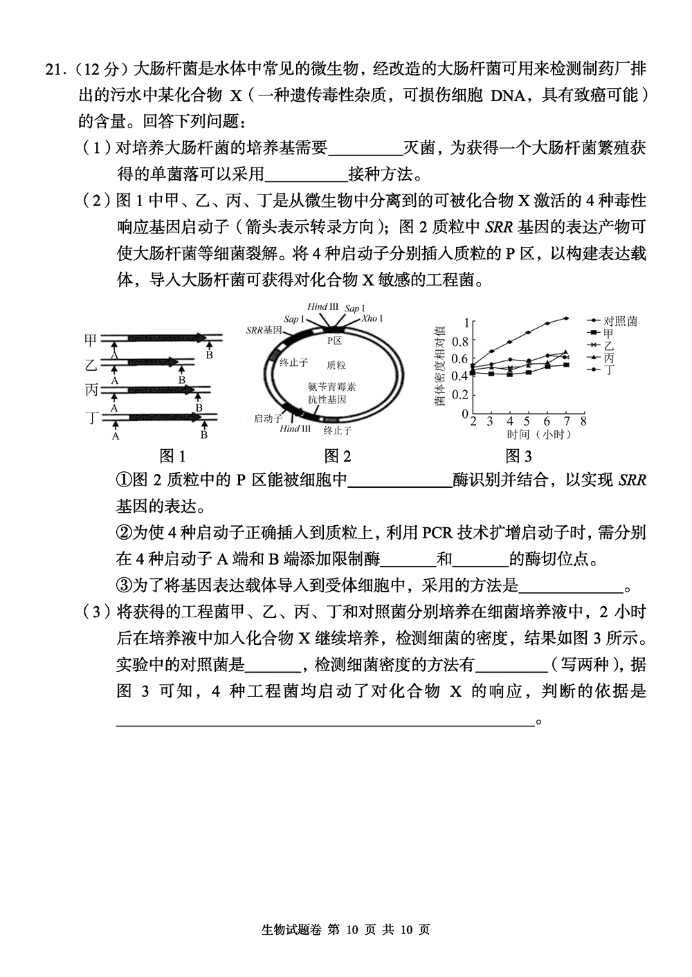 2024届湖南a佳教育高三上11月联考生物试题及答案