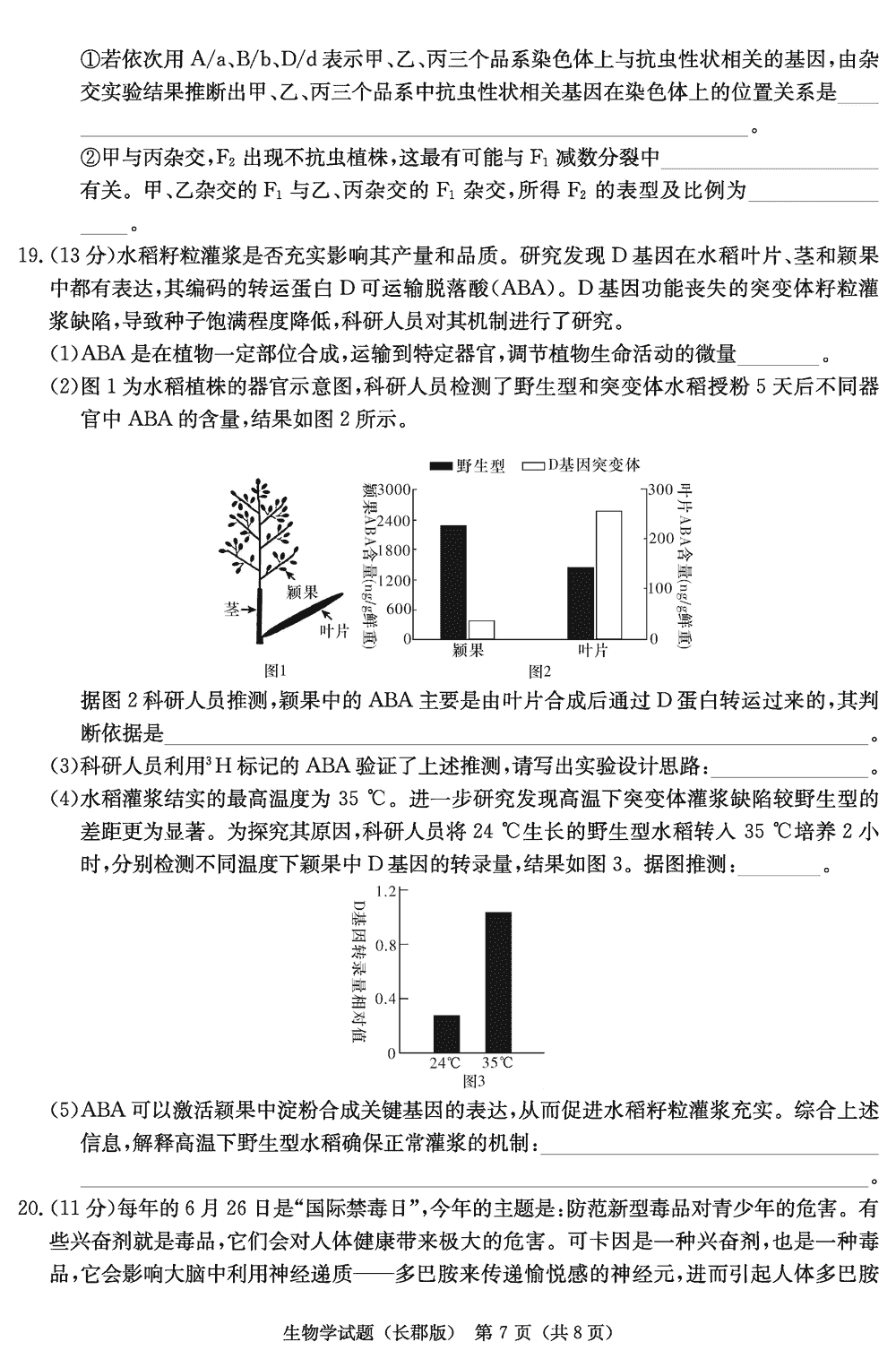 湖南长郡中学2024届高三上学期月考(四)生物试题及答案