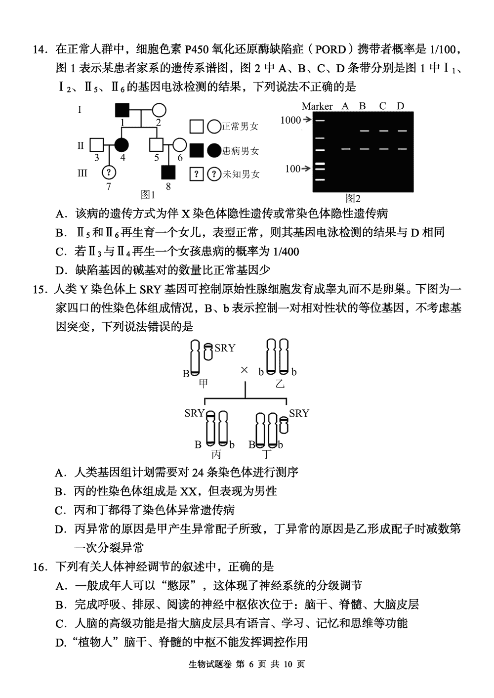 2024届湖南a佳教育高三上11月联考生物试题及答案