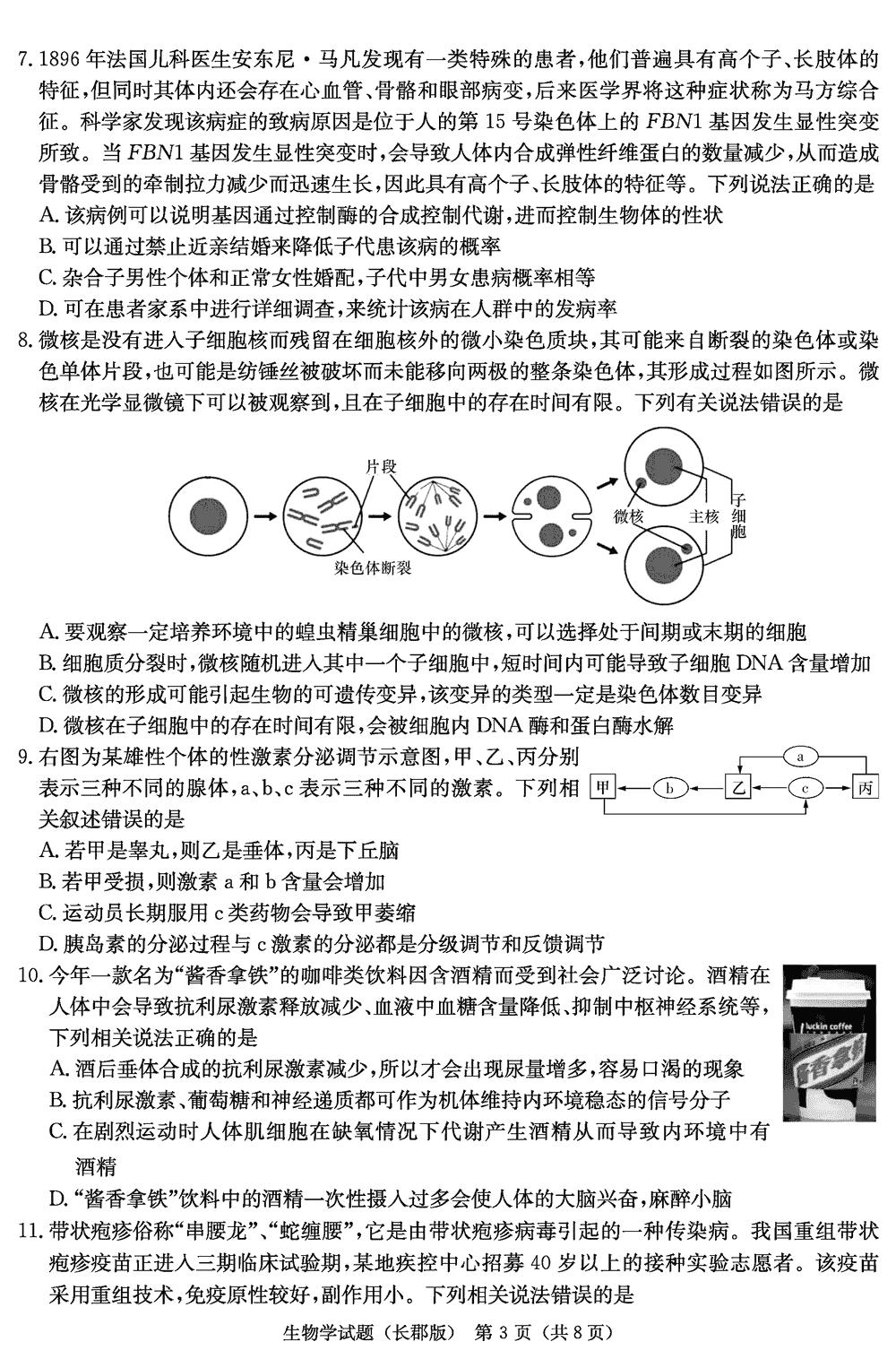 湖南长郡中学2024届高三上学期月考(四)生物试题及答案