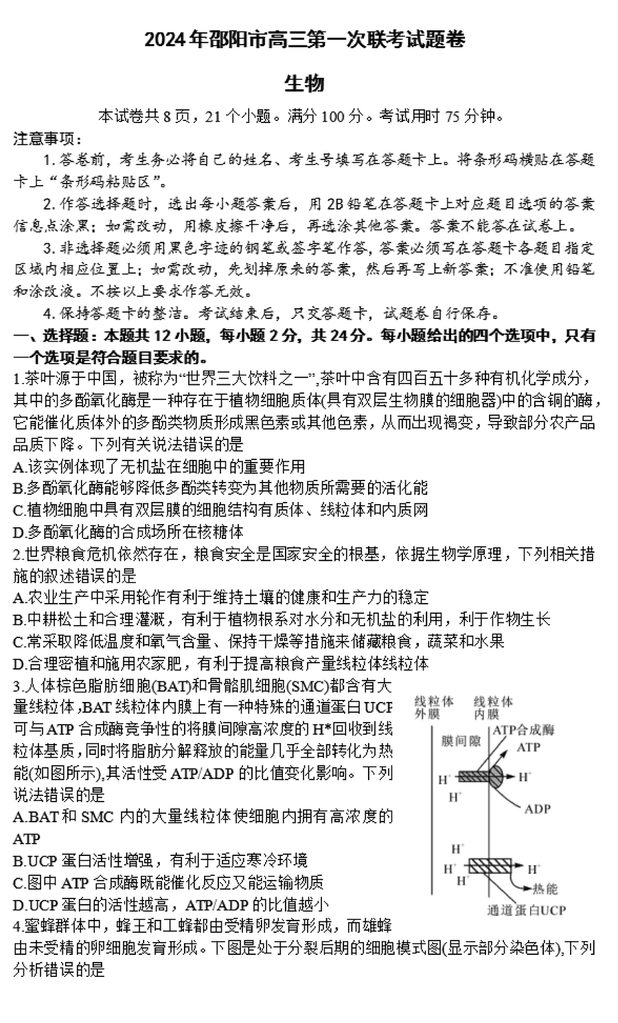 湖南邵阳一模2024届高三上第一次联考生物试卷及答案