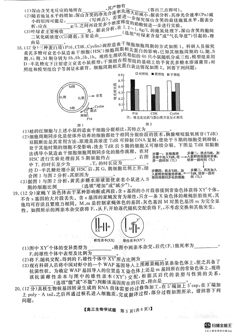 2024届湖南天壹名校联盟高三11月质检生物试题及答案