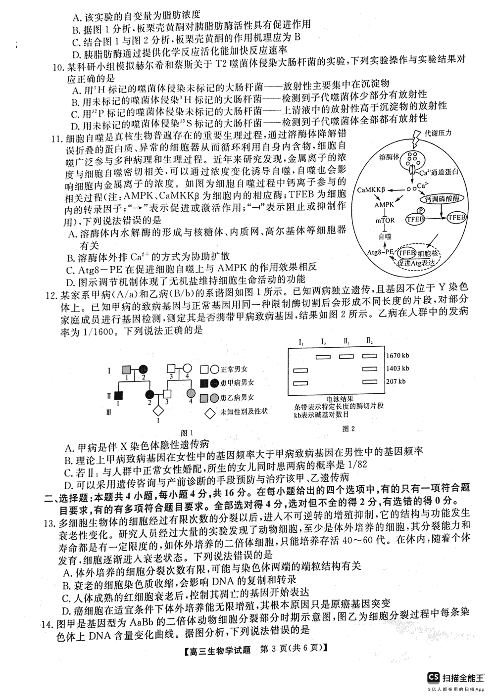 2024届湖南天壹名校联盟高三11月质检生物试题及答案