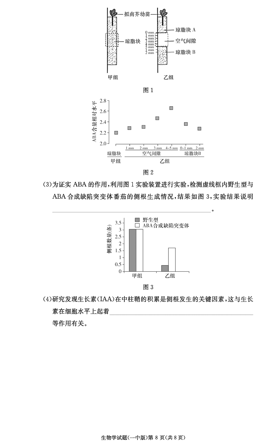 2024届湖南长沙一中高三上学期月考（四）生物试题及答案