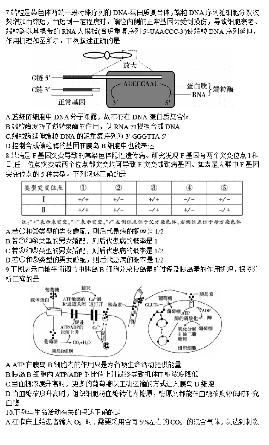 湖南邵阳一模2024届高三上第一次联考生物试卷及答案